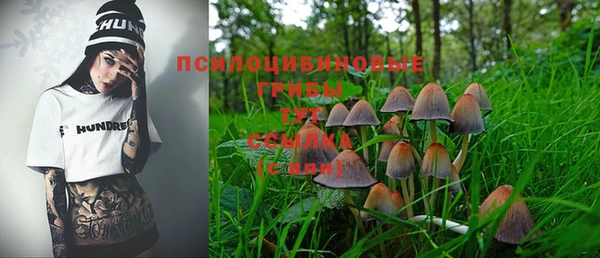 PSILOCYBIN Богданович