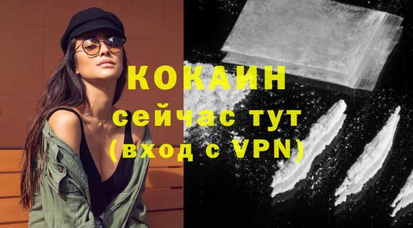 кокс Богородицк