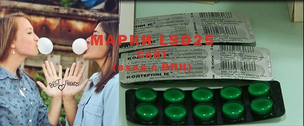 PSILOCYBIN Богданович
