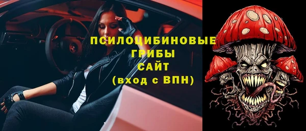 PSILOCYBIN Богданович